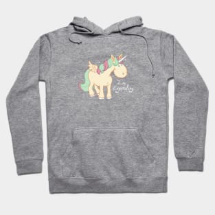 Legendary Silly Fluffy Unicorn Hoodie